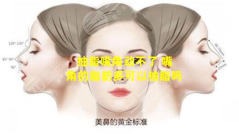 抽脂嘴角动不了 嘴角的脂肪多可以抽脂吗